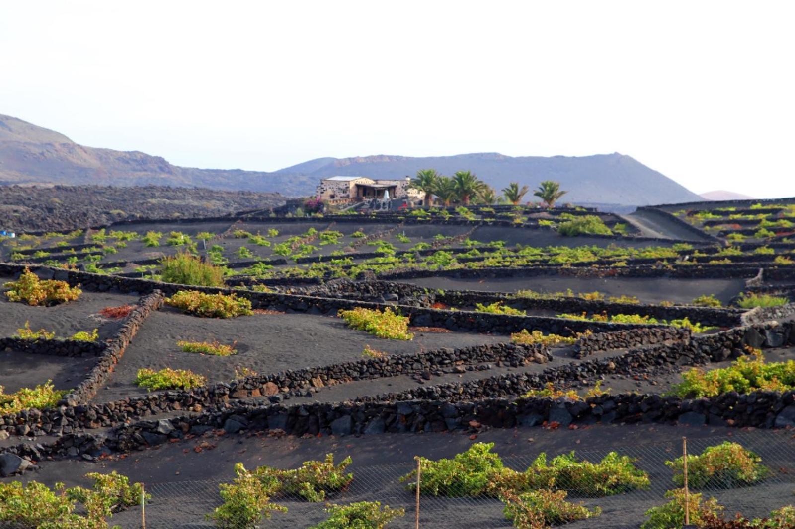 Casa Rural Vega De Timanfaya Uga Bagian luar foto