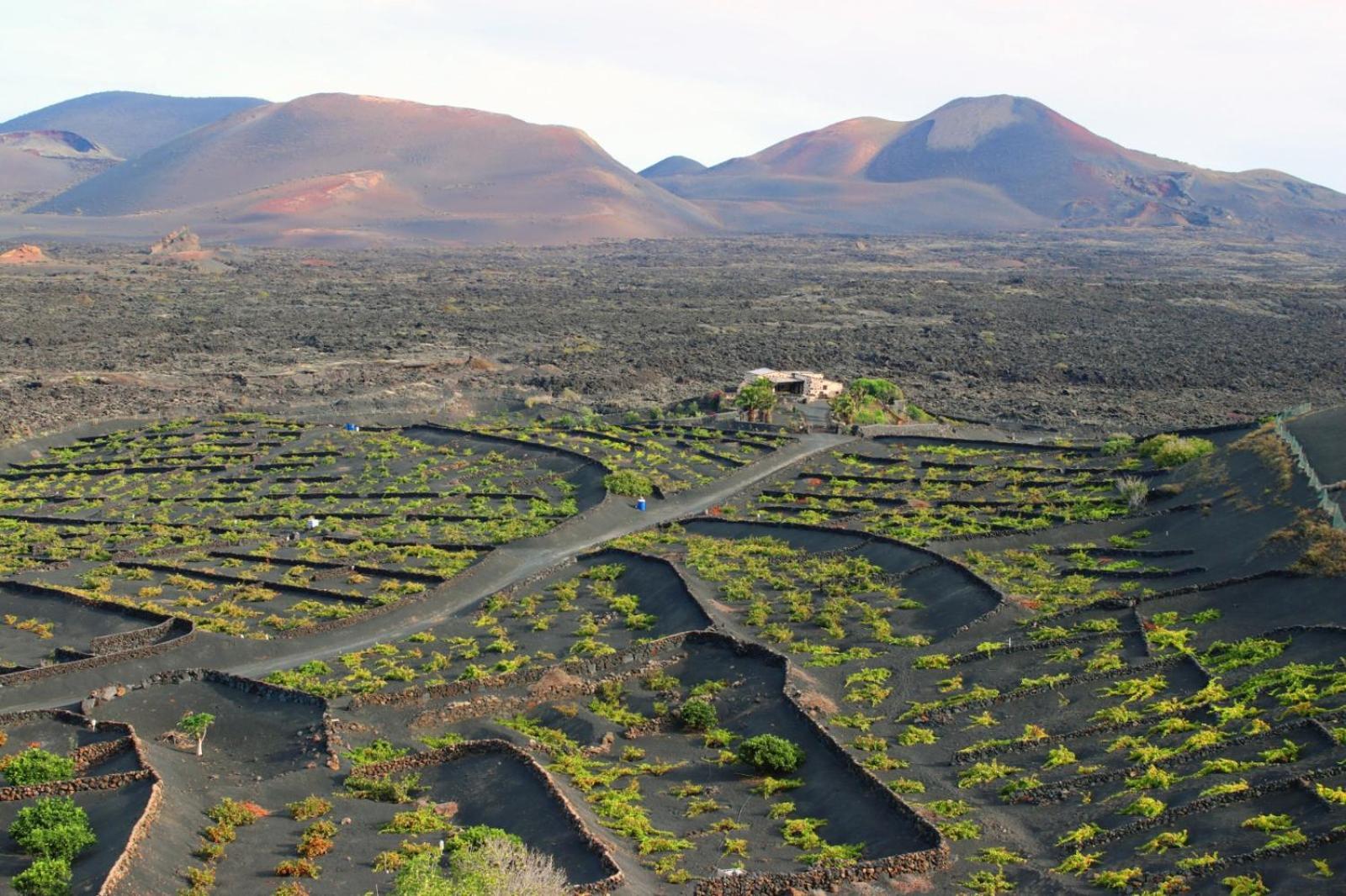 Casa Rural Vega De Timanfaya Uga Bagian luar foto